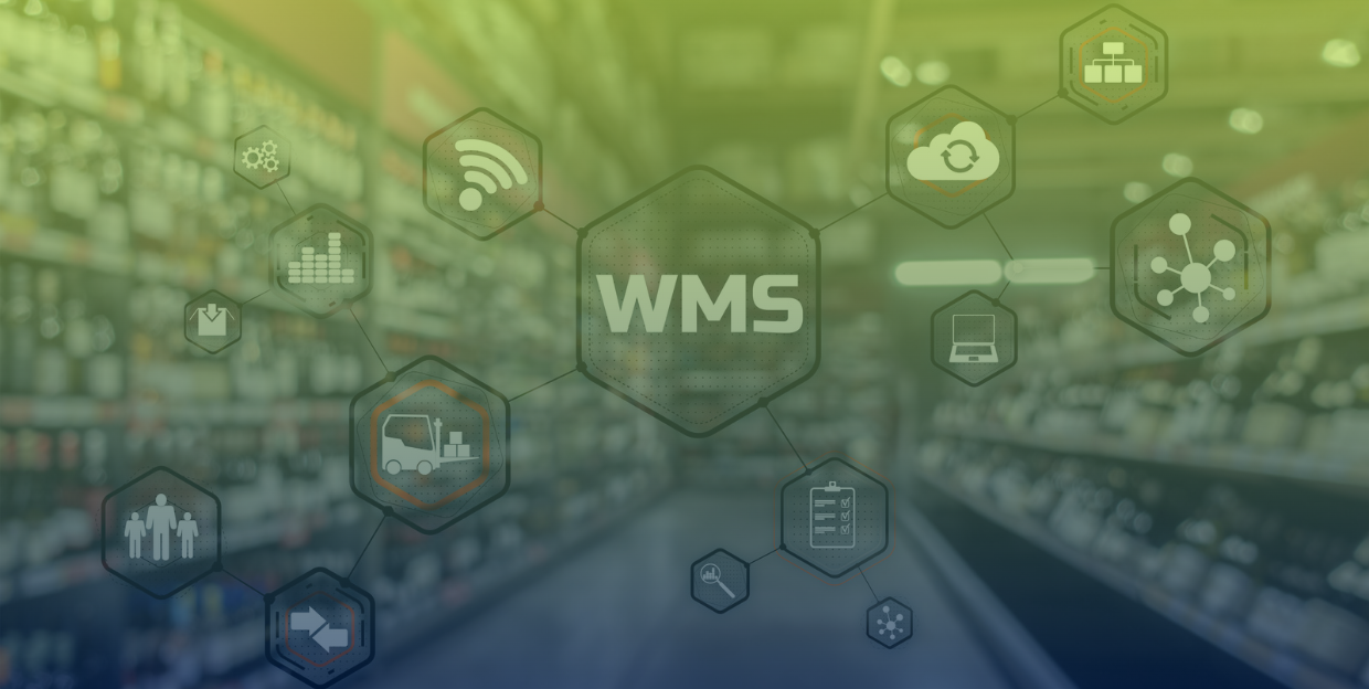 WMS-dla-firm-eCommerce_-Kiedy-system-WMS-staje-się-potrzebny