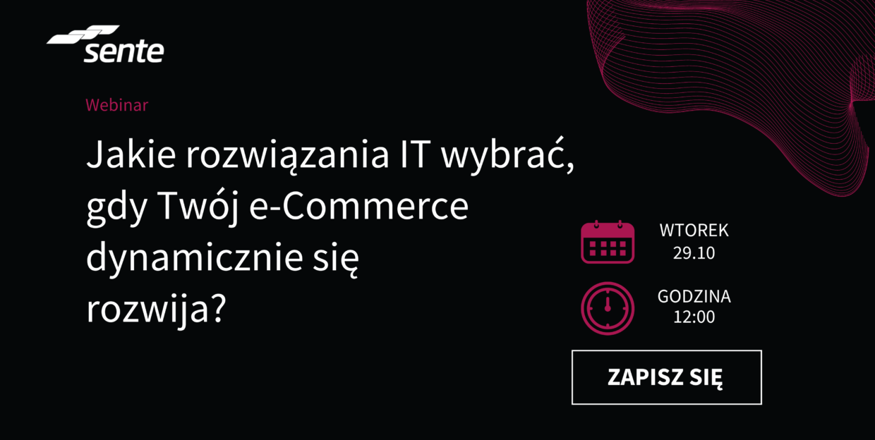 Obrazek wyróżniony dla wpisu 'Jakie rozwiązania IT wybrać, gdy Twój e-Commerce dynamicznie się rozwija?'