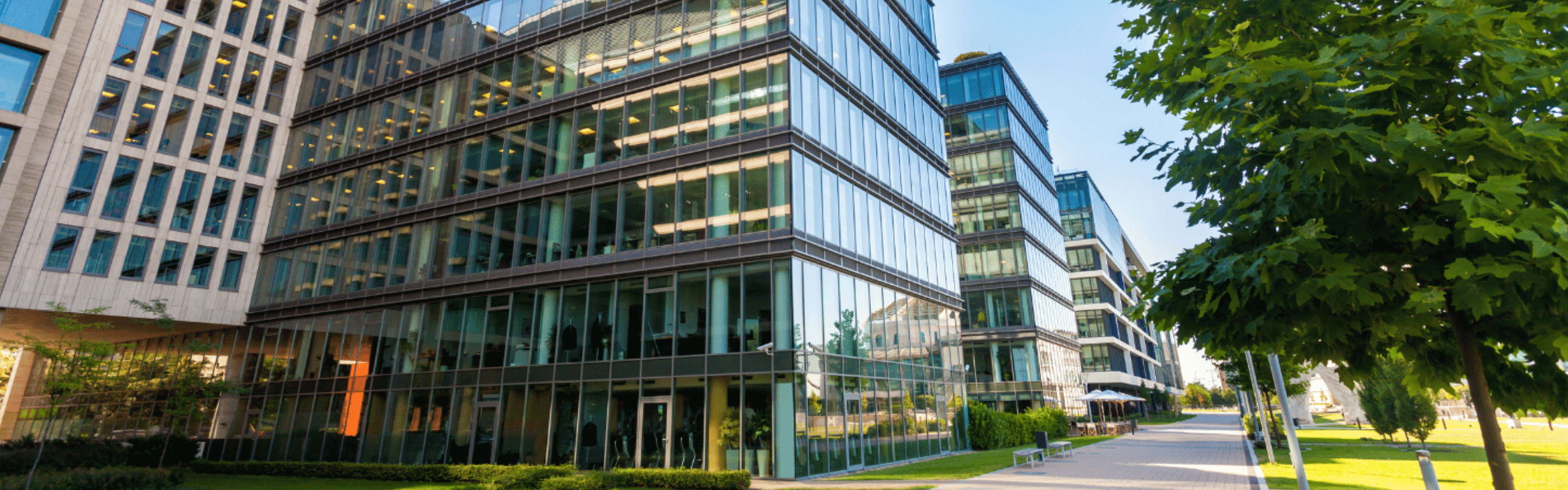 Biura-i-usługi-IT-jeszcze-łatwiej-dostępne-–-Technopark-Pomerania-cyfryzuje-się-z-enova365