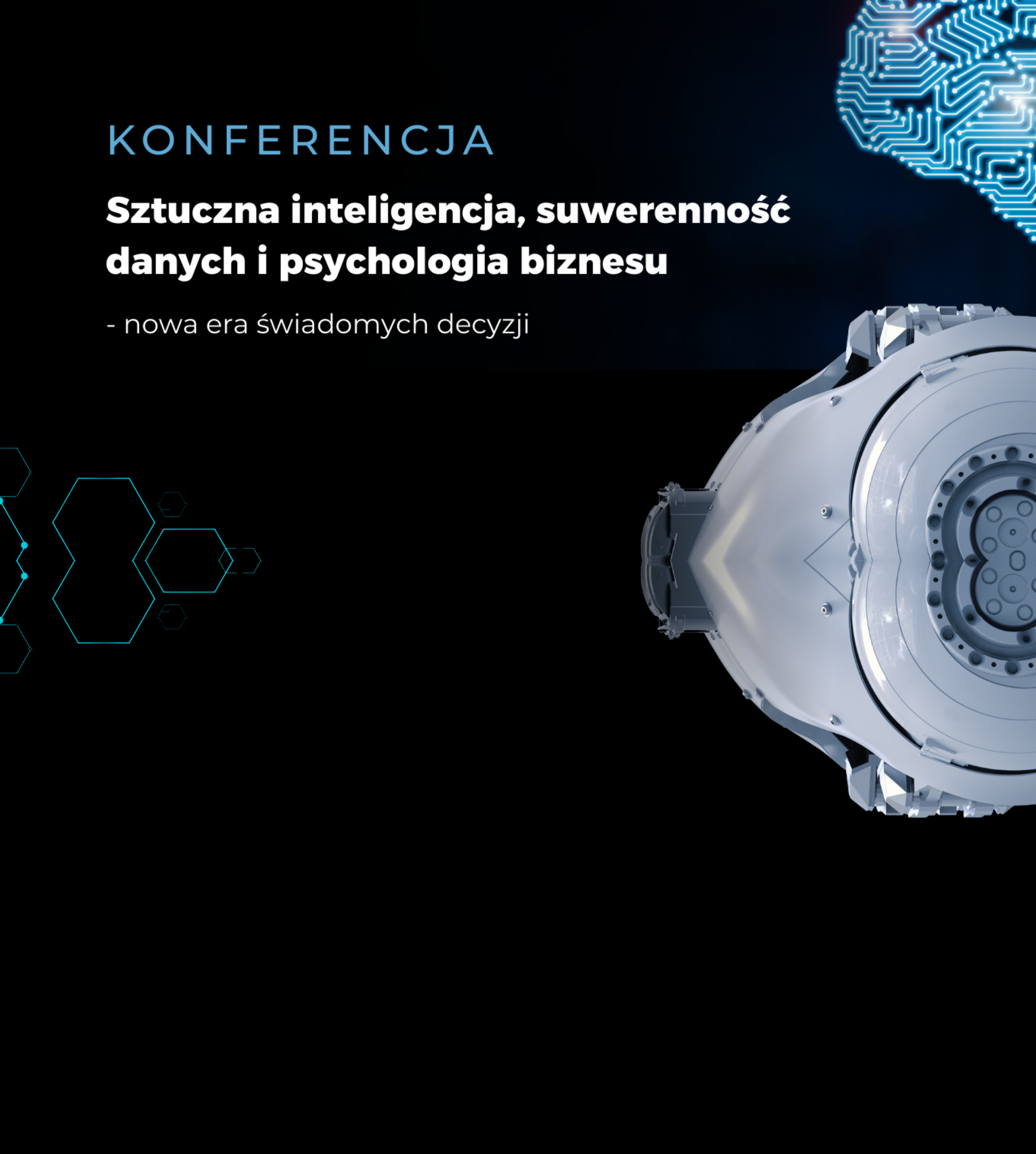 Sinersio Konferencja2