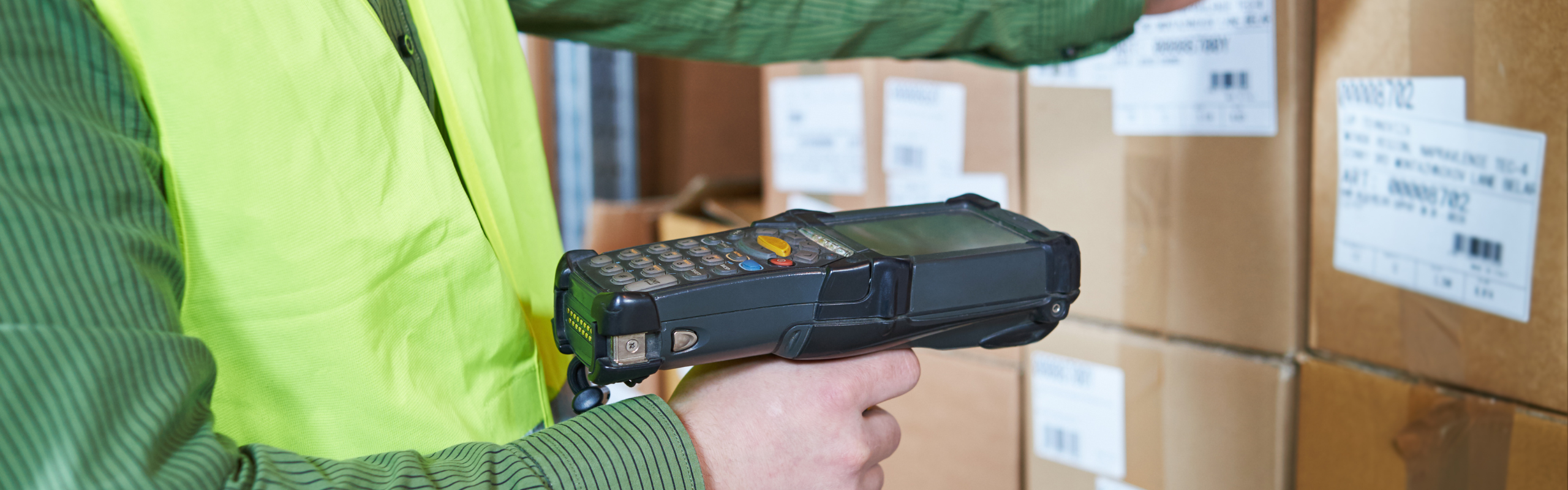 System WMS vs. moduł magazynowy w ERP – co wybrać dla Twojej firmy