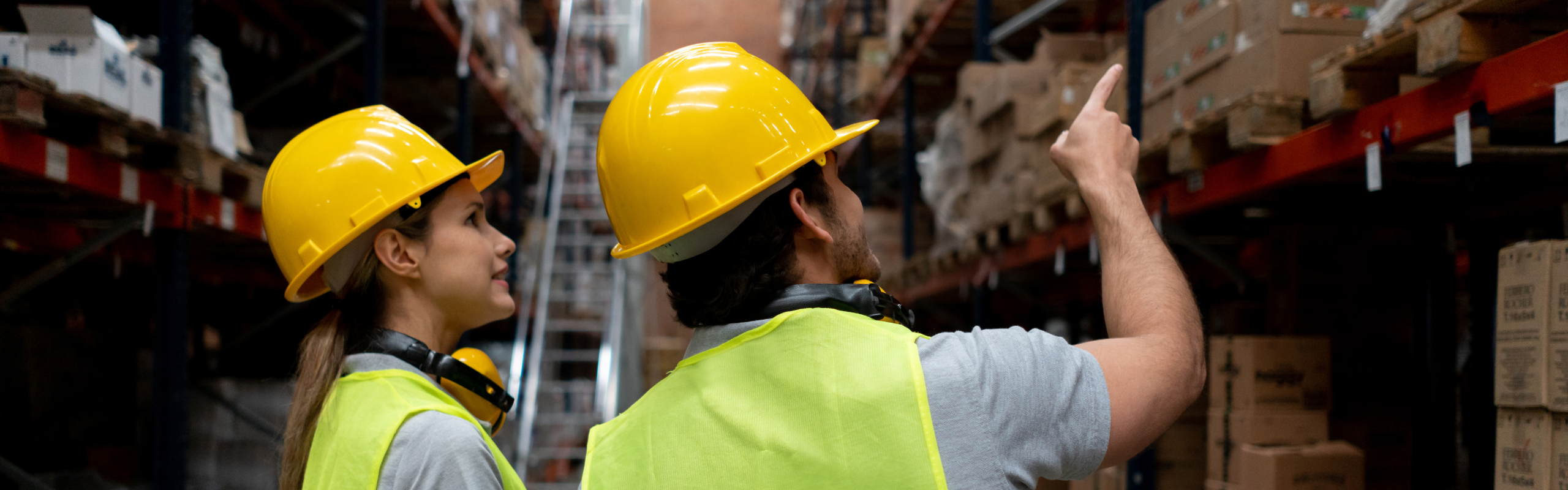 Workers doing the inventory