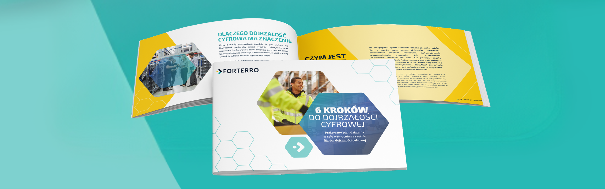 6 kroków do dojrzałości cyfrowej. Forterro z konkretnym planem działania