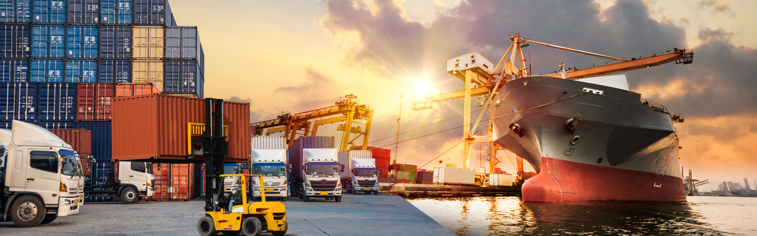 Logistyka 2030 bez automatyzacji i AI nie ma kogo zatrudnić