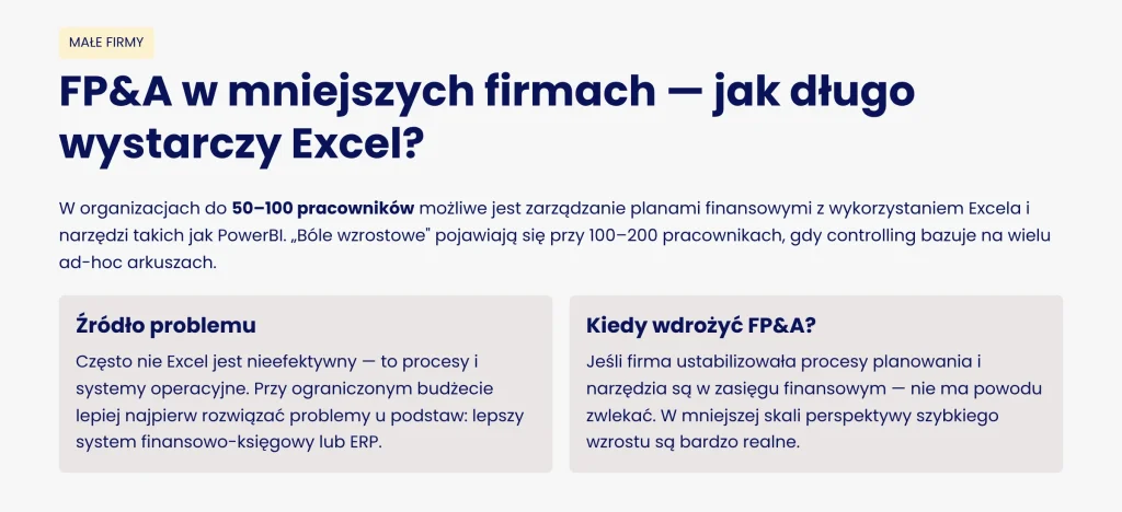 fp&a w mniejszych firmach