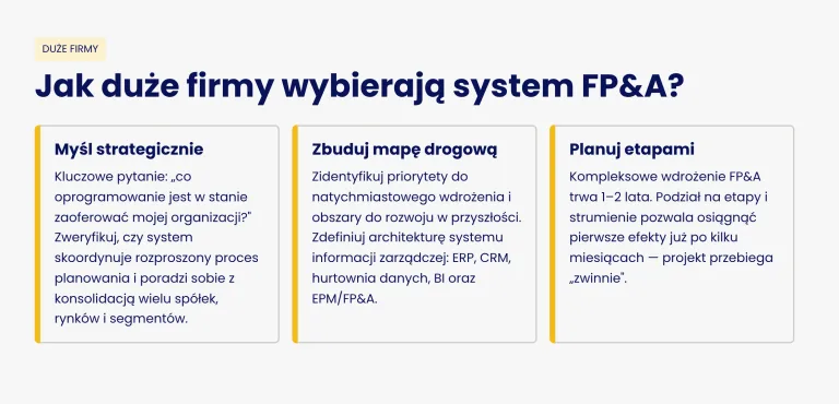jak duże firmy wybierają system fp&a