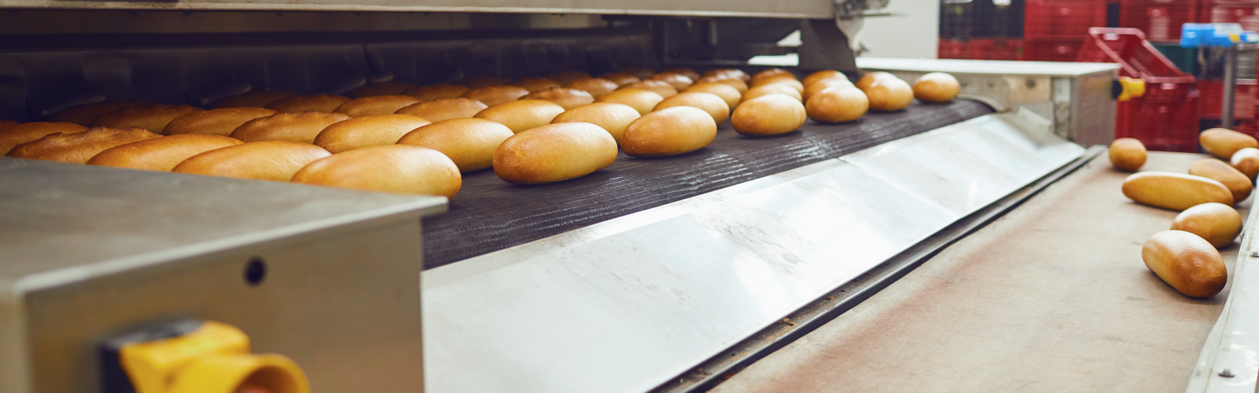 Automatic Bakery Production at a Factory