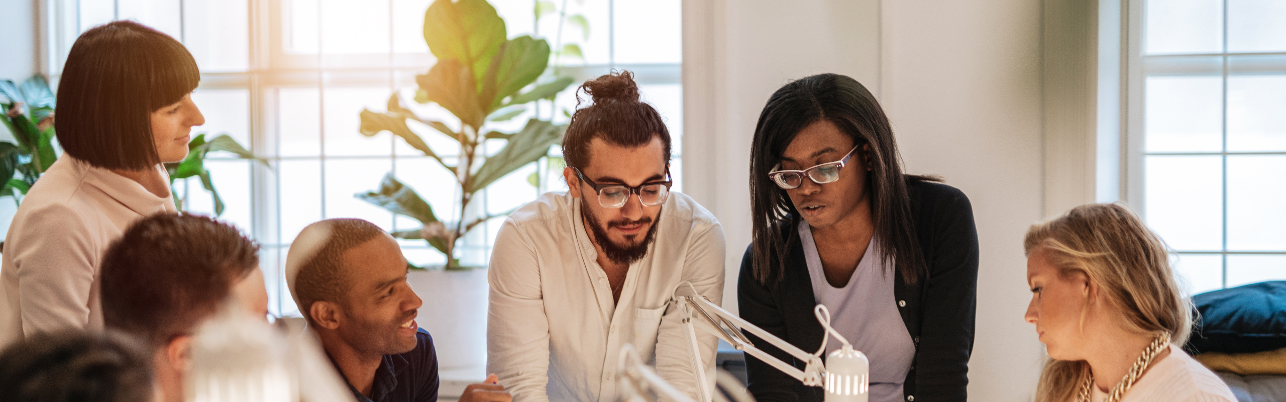 How to establish a limited liability company?