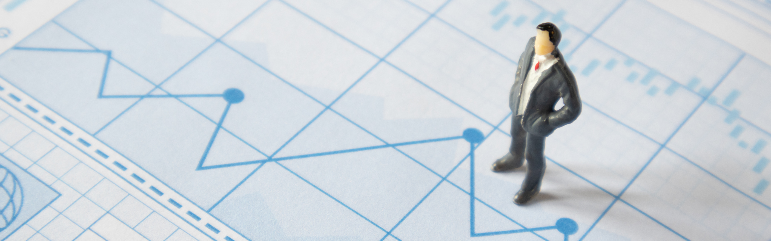 Financial Planning and Risk Management Concept